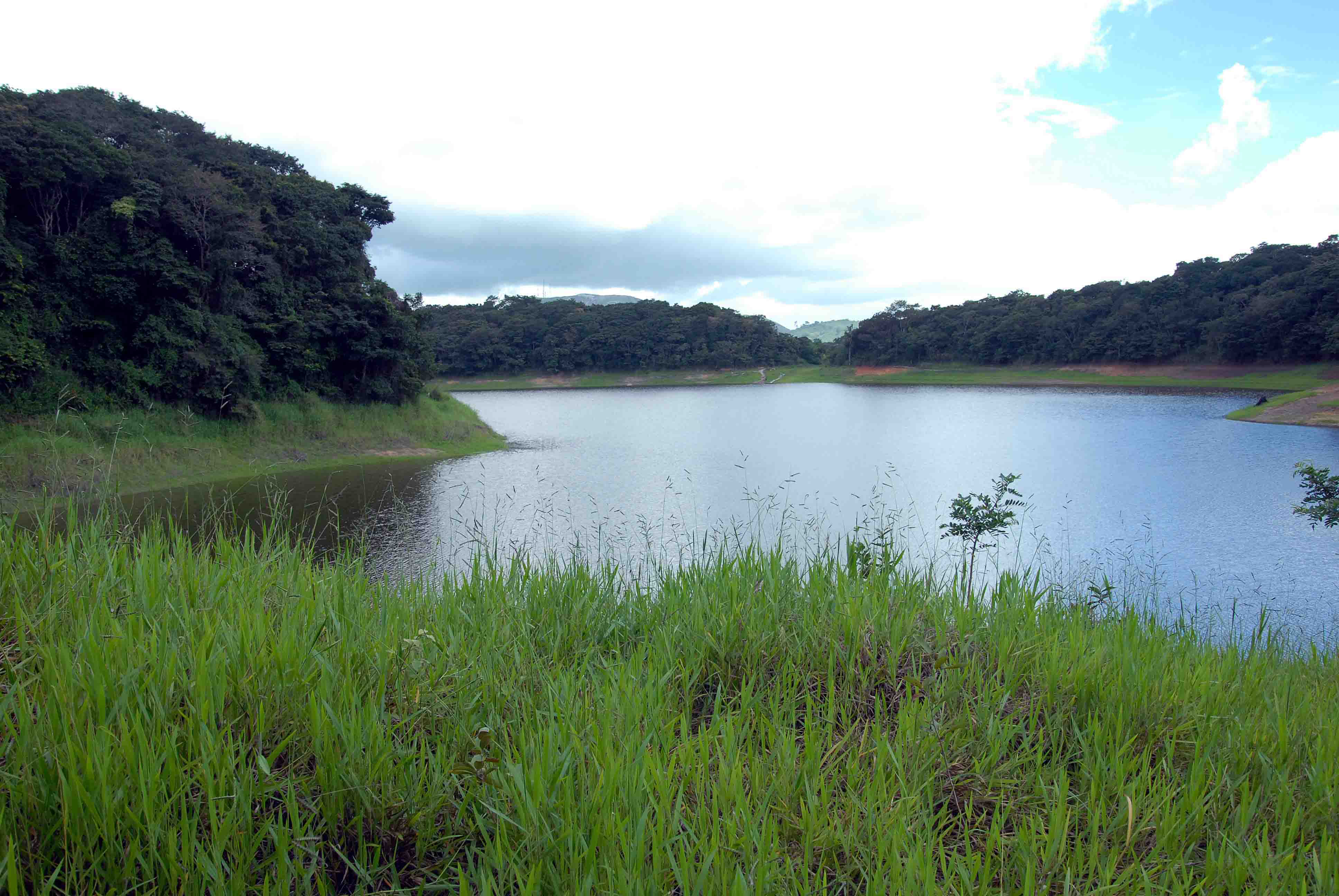 Câmara de Vereadores realizará Audiência Pública para discutir situação do Parque de Serra dos Cavalos