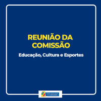 Comissão de Educação aprova projeto que visa instalação de câmeras em escolas municipais 