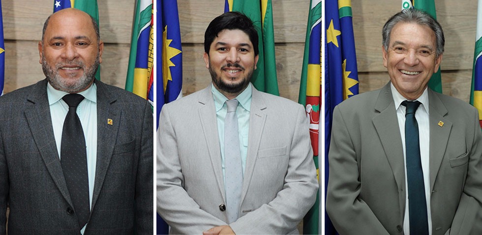 Idealização de projetos de leis que visam à liberdade, saúde e segurança dos cidadãos são projetados no plenário