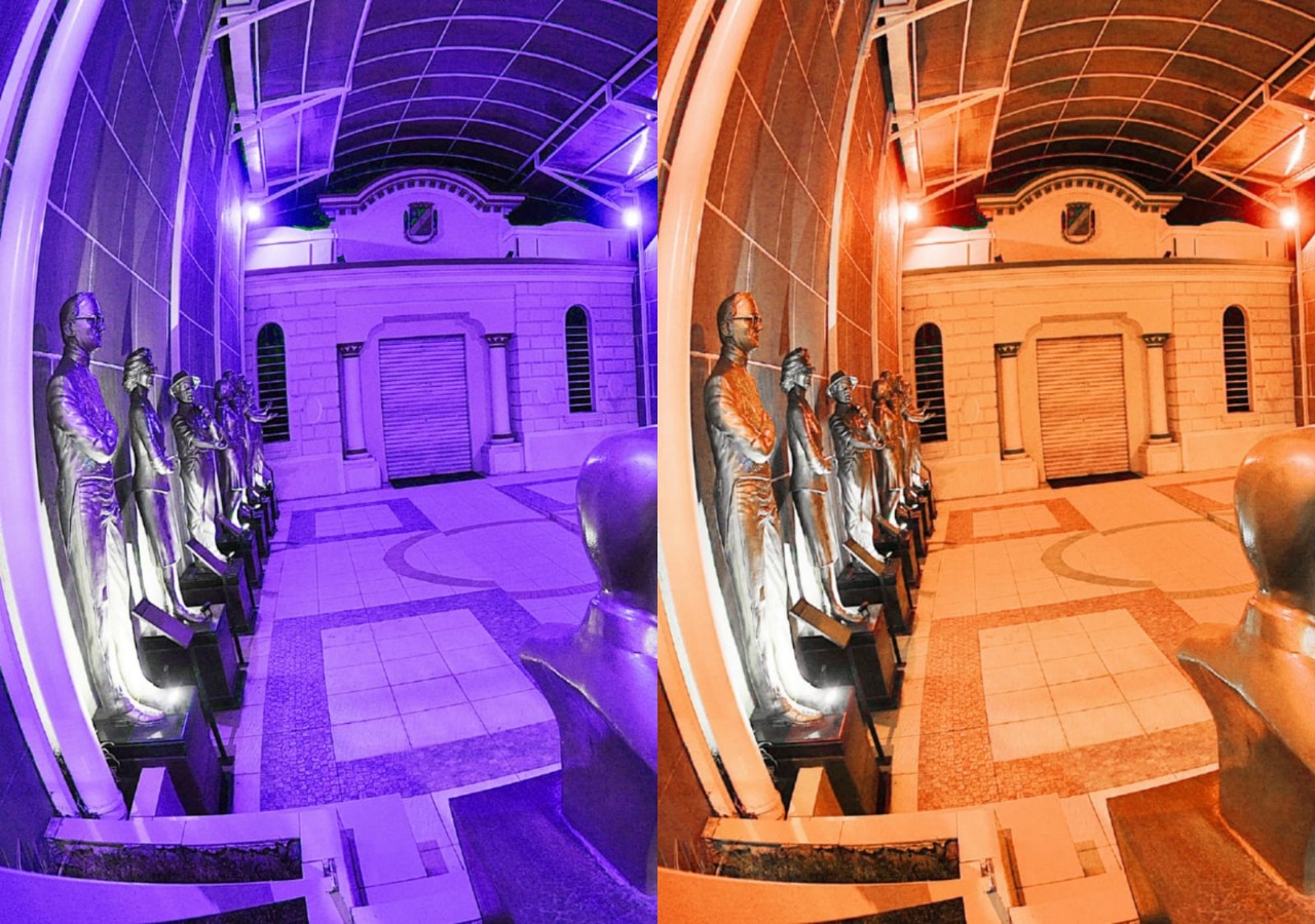 Legislativo tem iluminação externa voltada ao Fevereiro Roxo e Laranja