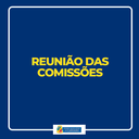 PL que regulamenta a declaração de Utilidade Pública para sociedades civis, associações e fundações foi aprovado em reunião das comissões PL que regulamenta a declaração de Utilidade Pública para sociedades civis, associações e fundações foi aprovado em reunião das comissões